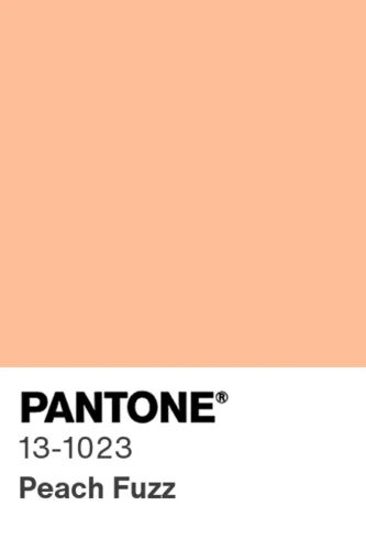 Pantone Peach Fuzz