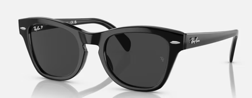 Shiny Black Ray Ban Wayfarers